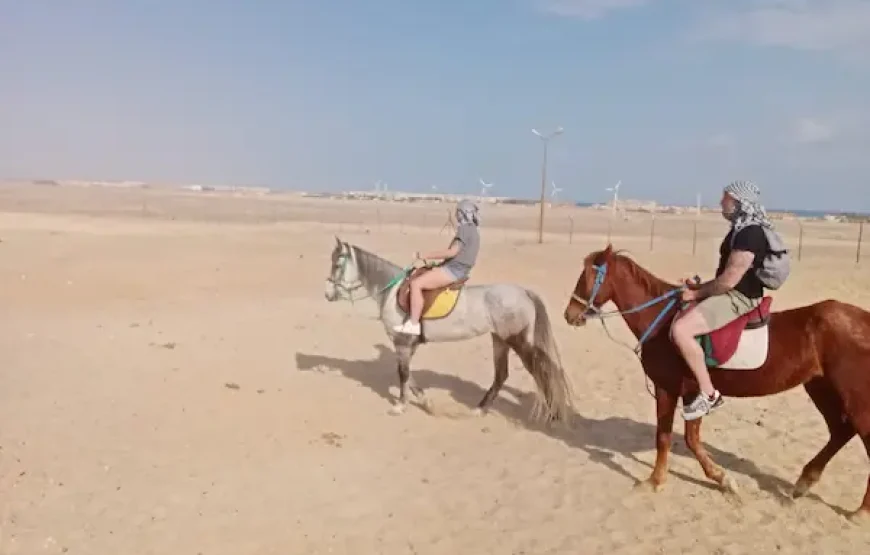HURGHADA HORSE AND CAMEL RIDING