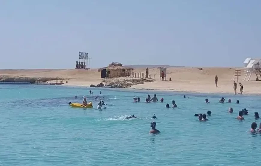 Paradise Island Hula Hula