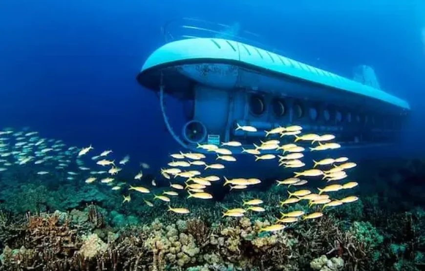 Sindbad Submarine Hurghada