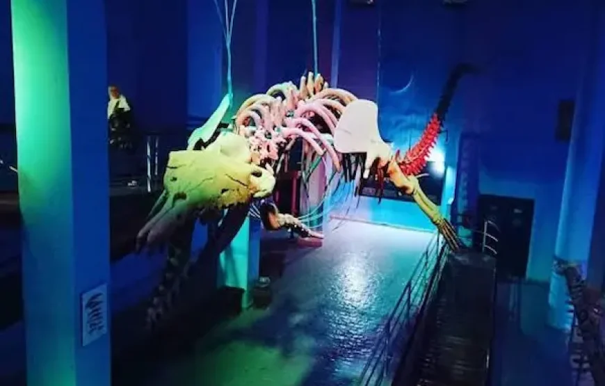 Hurghada Grand Aquarium