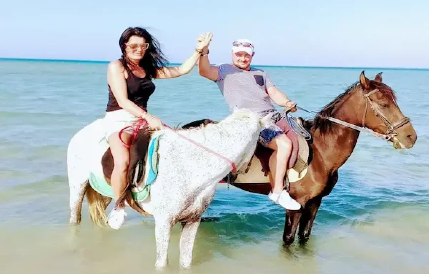 HURGHADA HORSE AND CAMEL RIDING