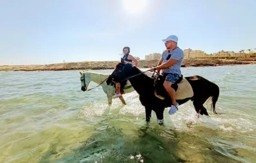 HURGHADA HORSE AND CAMEL RIDING