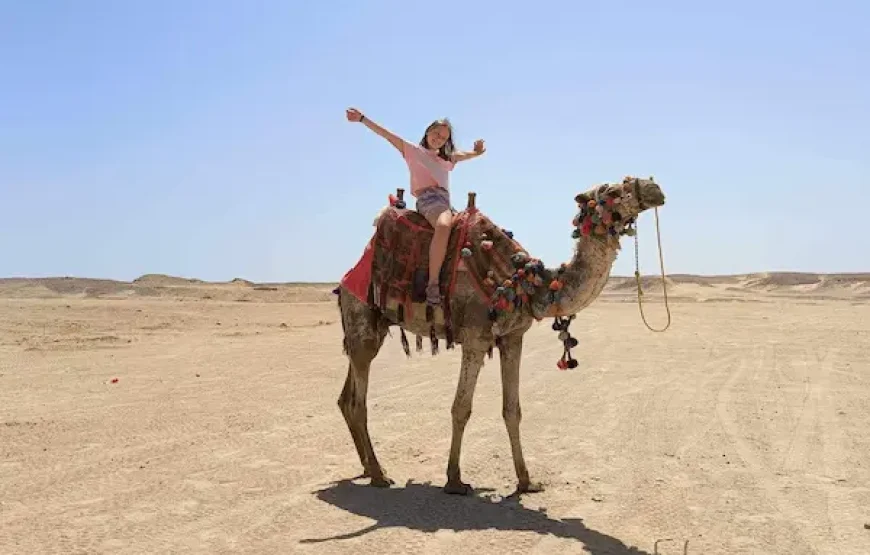 HURGHADA HORSE AND CAMEL RIDING